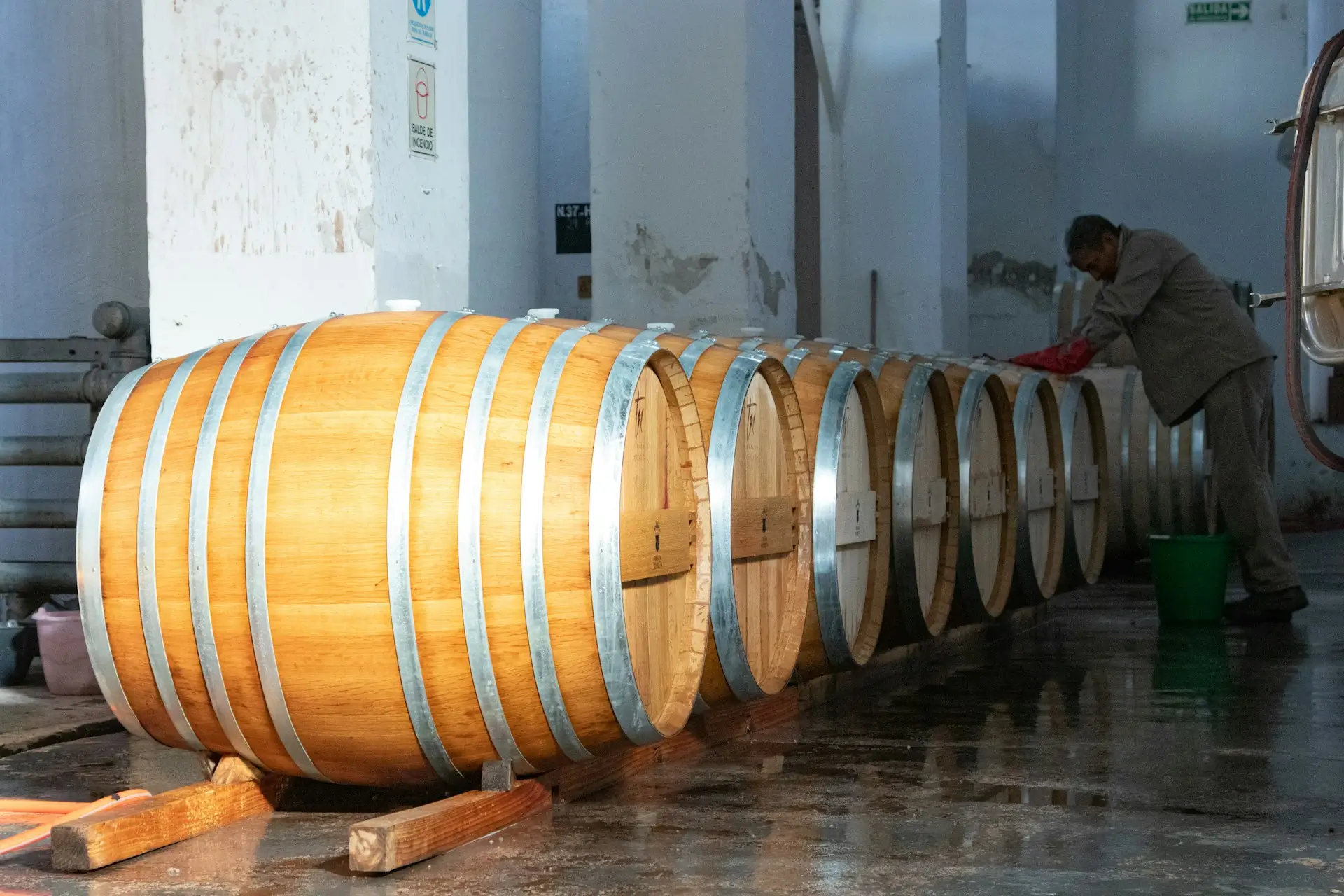 A working cellar