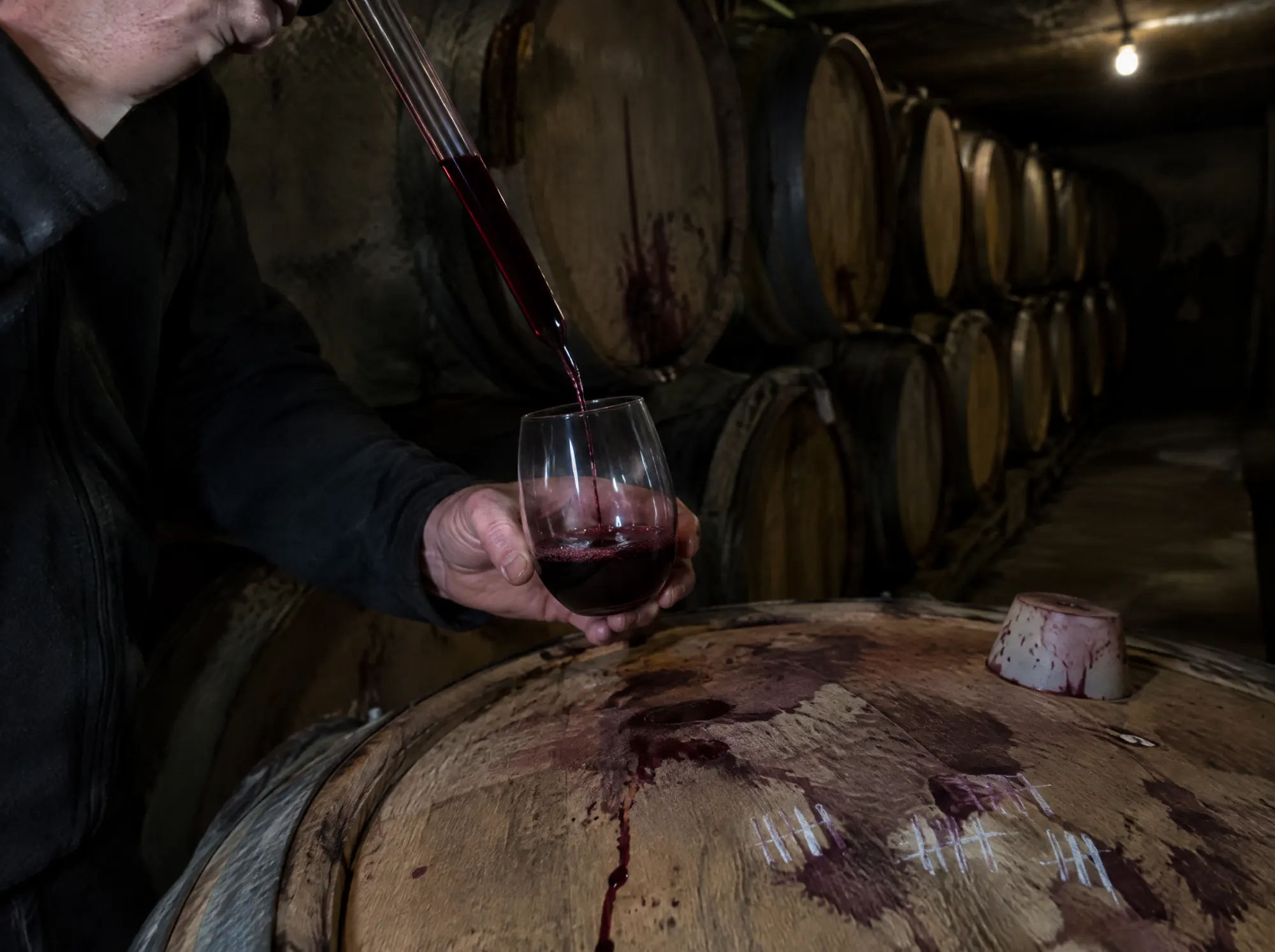 A winemaker pulling a barrel sample with a thief