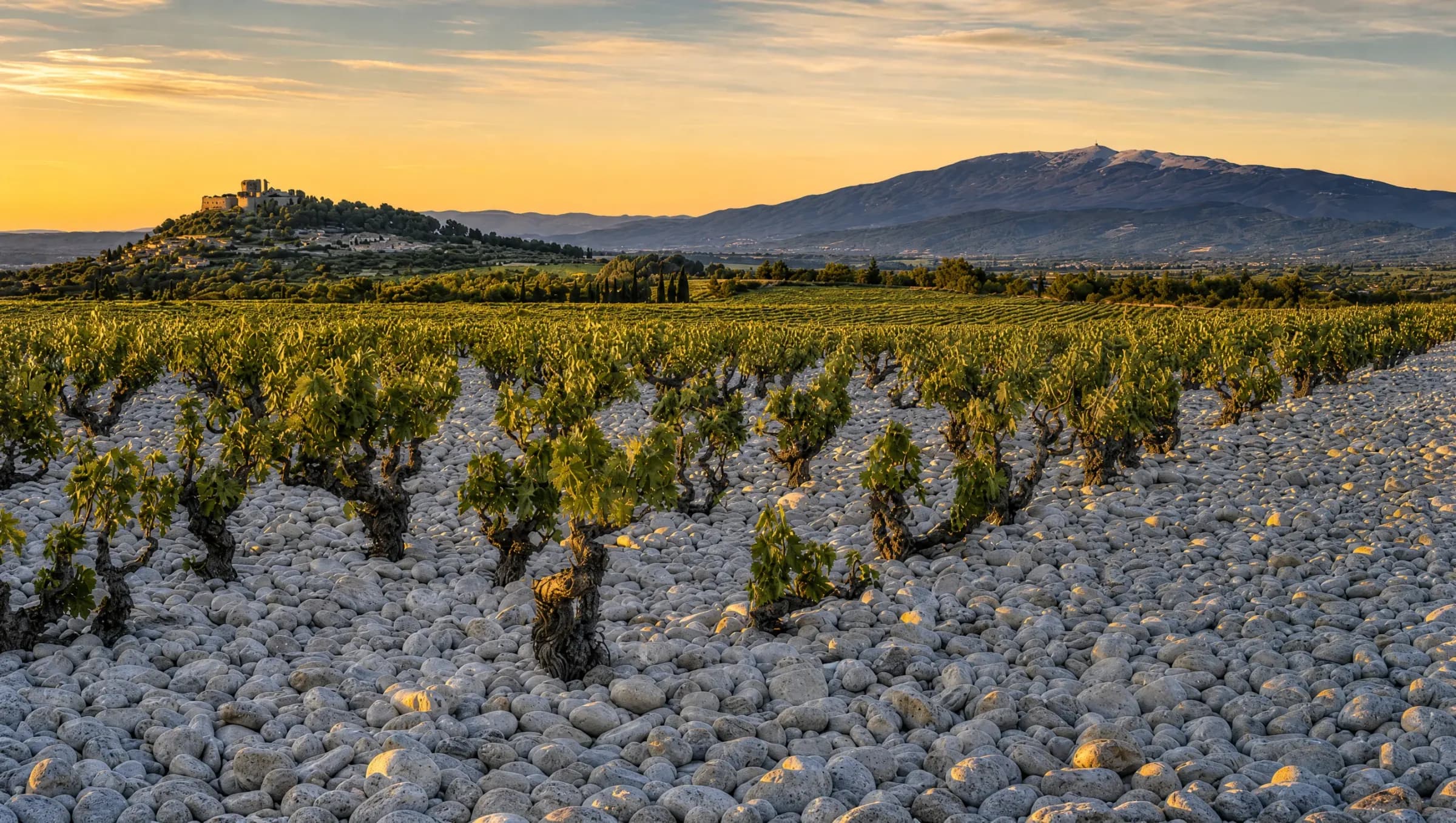 Late sun over terraced vineyards and a hilltop village