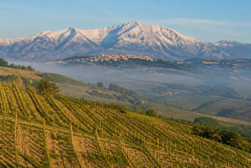 Cerasuolo d'Abruzzo Rosato β Abruzzo