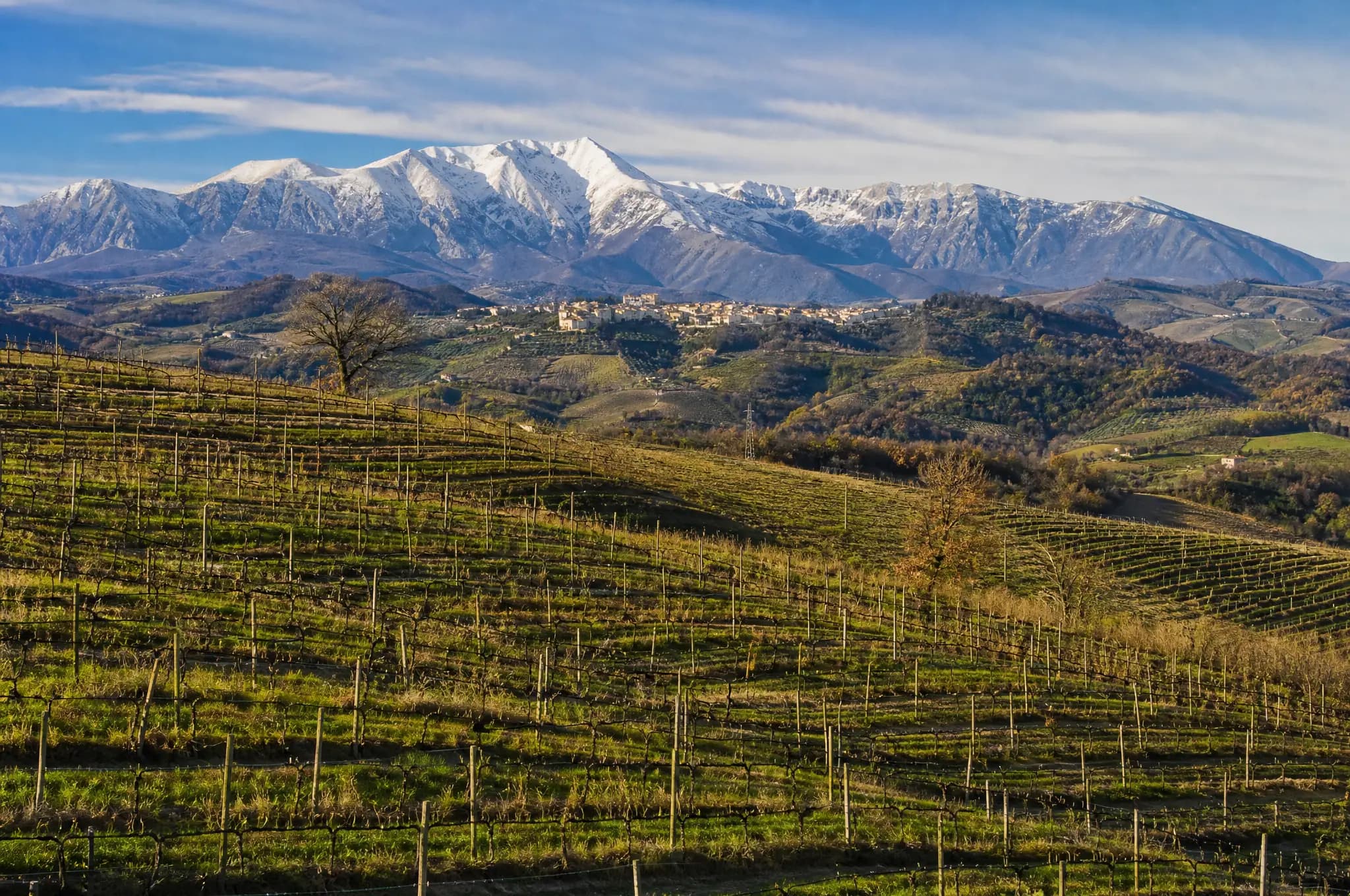 Montepulciano d'Abruzzo — Abruzzo