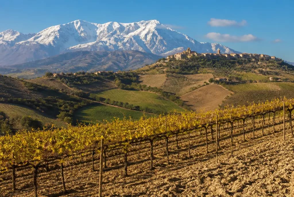 Montepulciano d'Abruzzo β Abruzzo