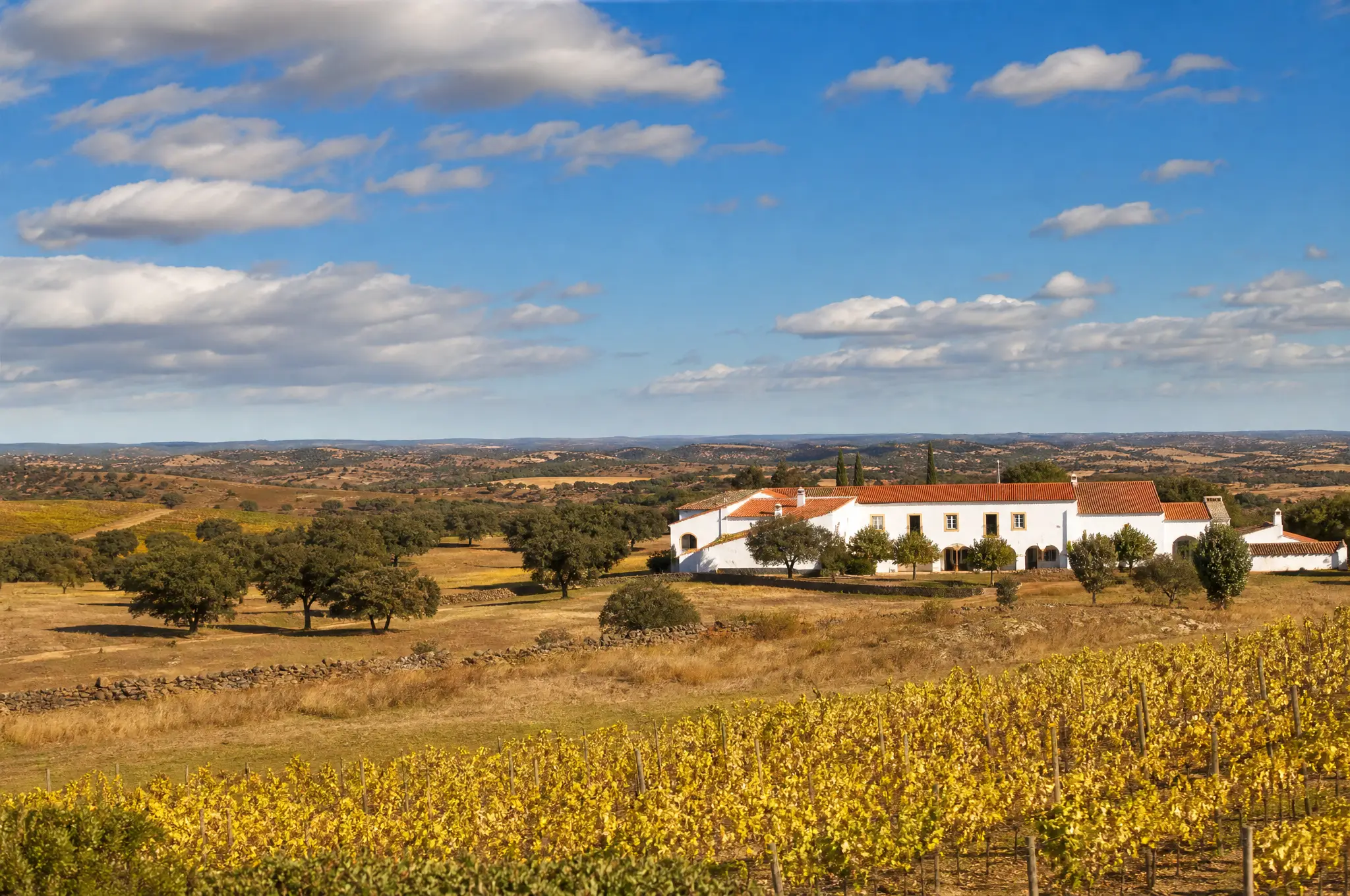 Alentejo Tinto — Alentejo