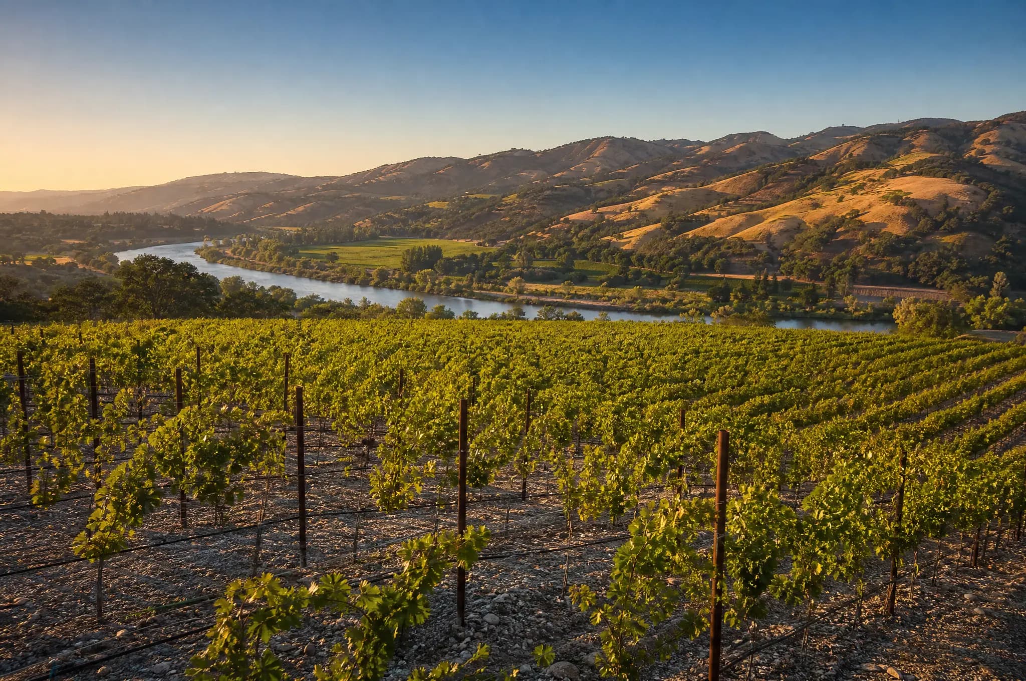 Alexander Valley Estate