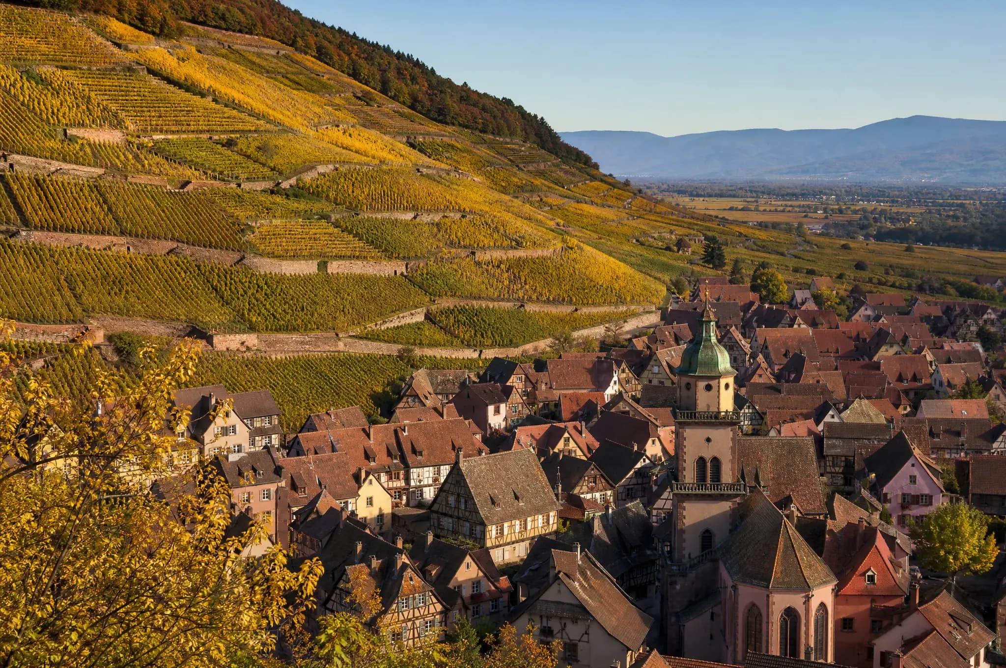 Alsace Riesling — Alsace
