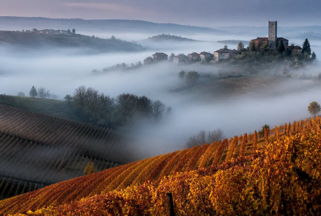 Barbaresco Riserva — Barbaresco
