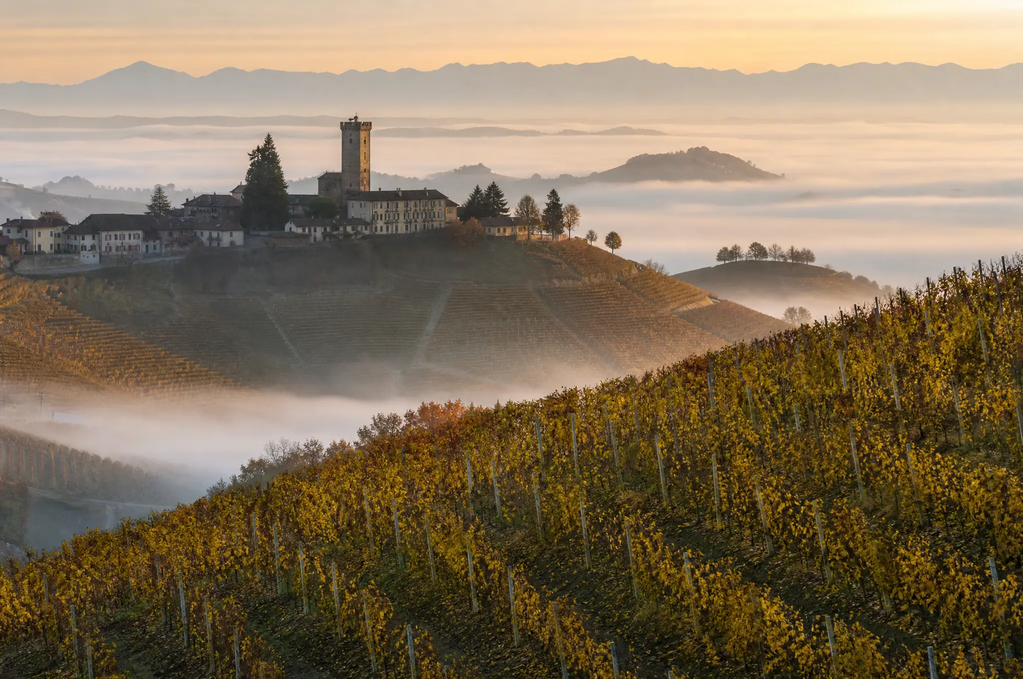 Barbaresco Estate