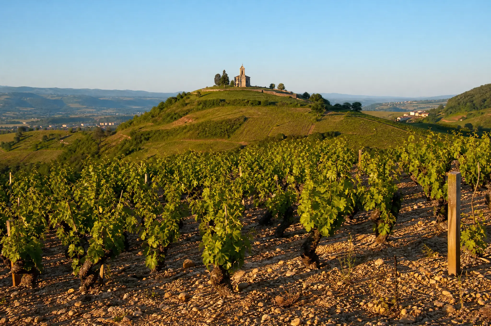 Beaujolais Crus Estate