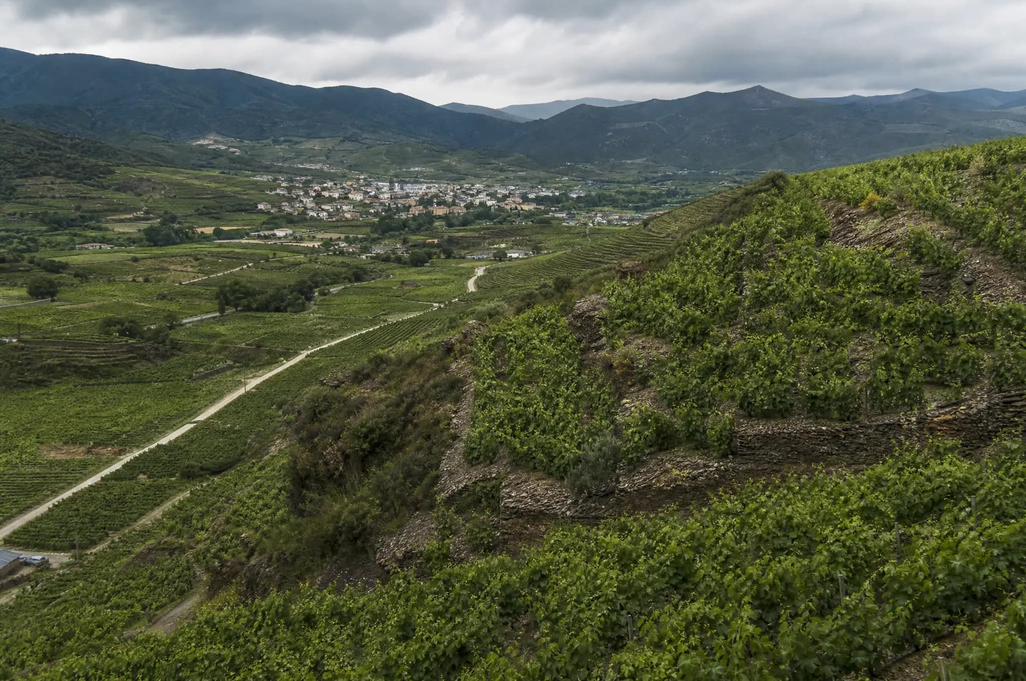 Bierzo Estate