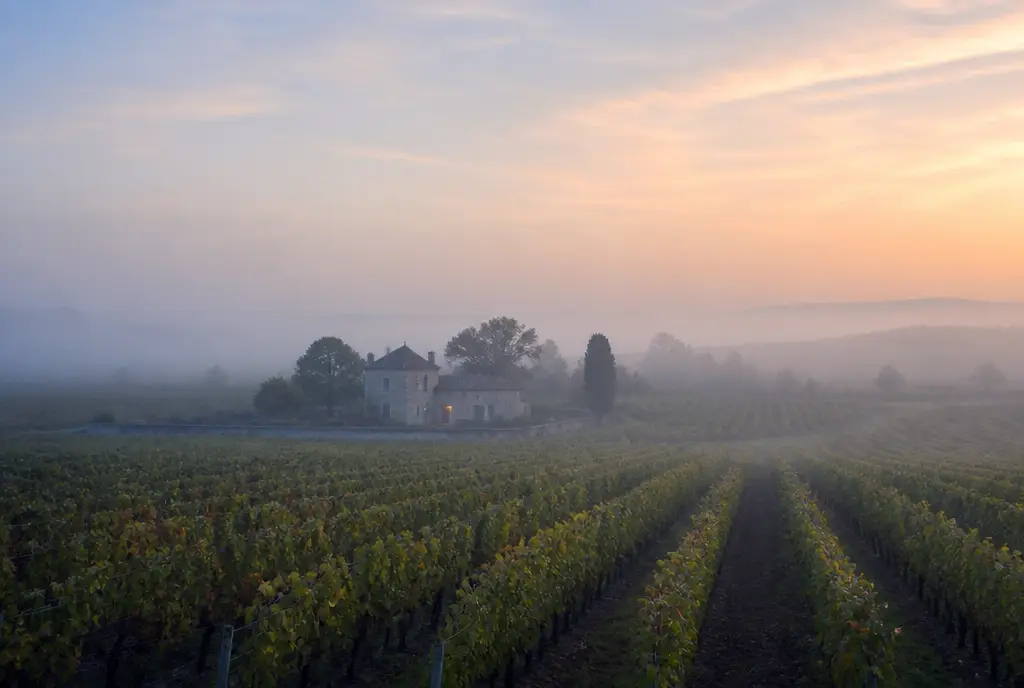 Crasse-de-Fer Reserve β Pomerol