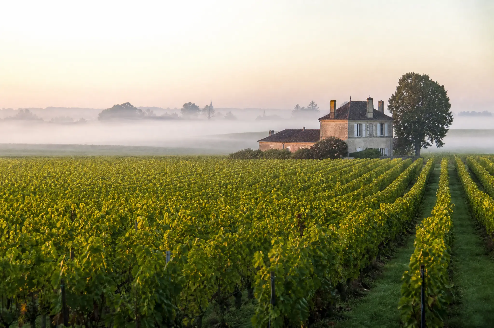 Pomerol Estate