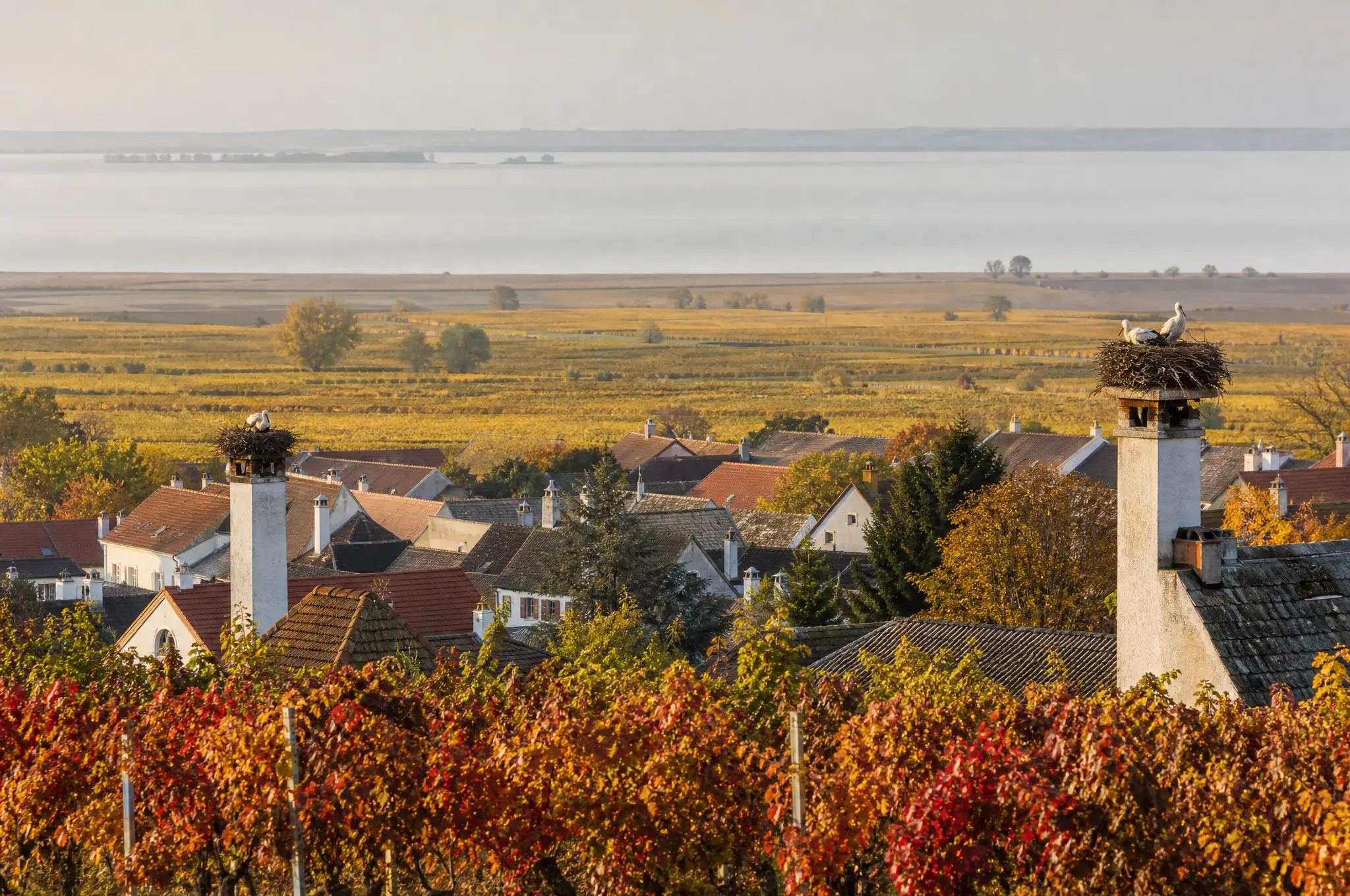 Burgenland Estate