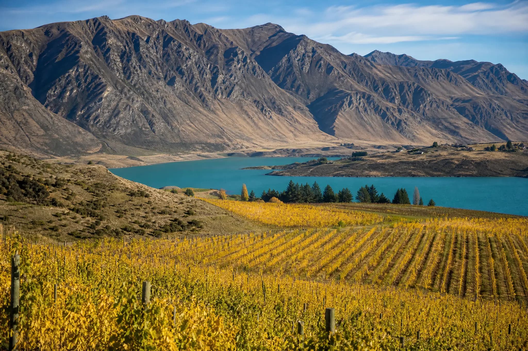 Central Otago Estate