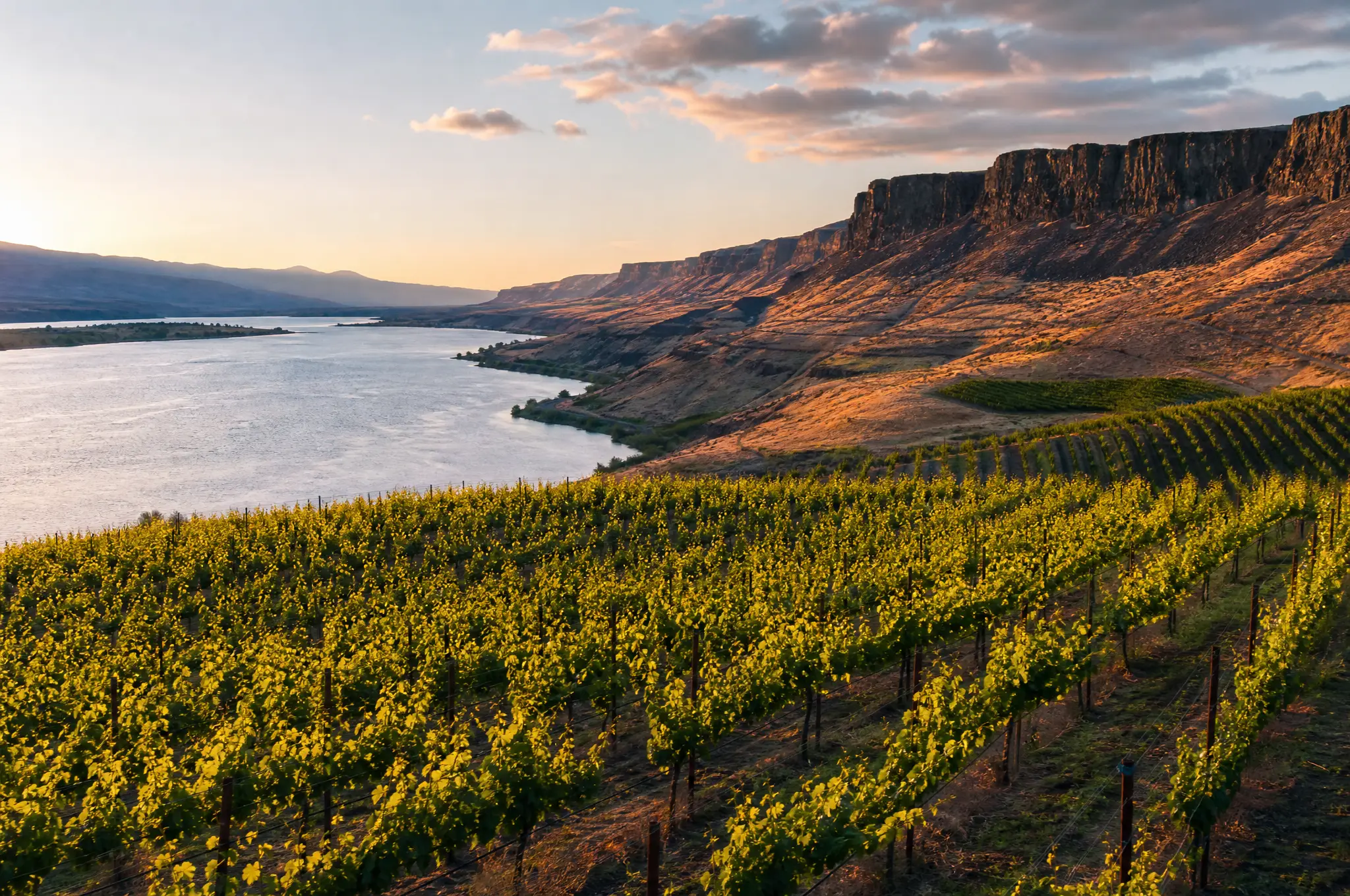 Columbia Valley Estate