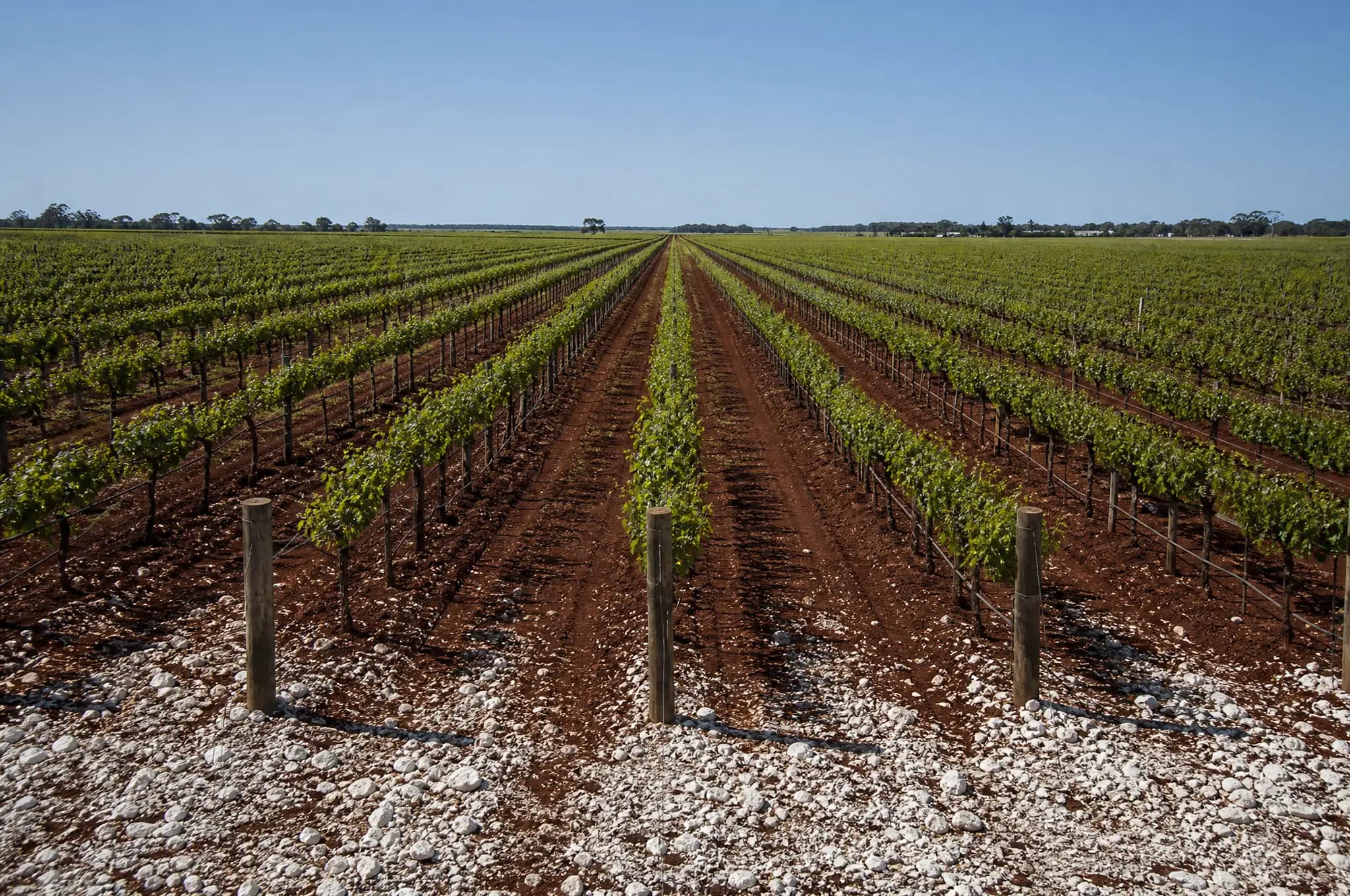 Coonawarra Estate