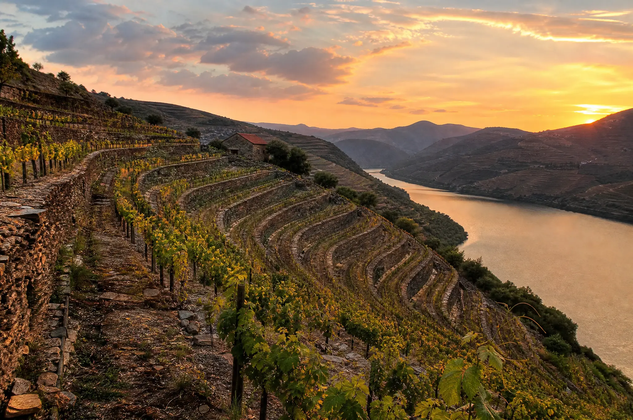 Douro Valley Estate