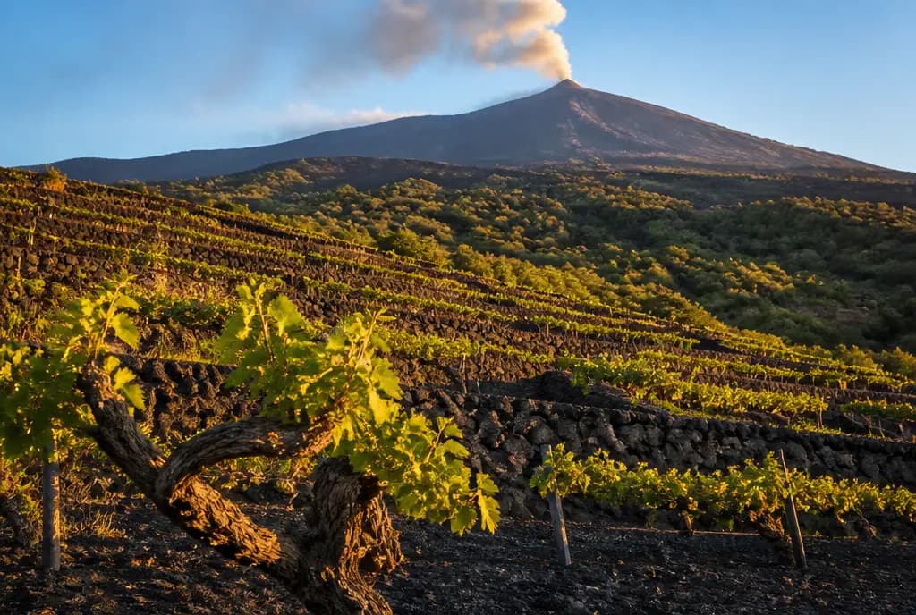 Etna Rosato — Etna