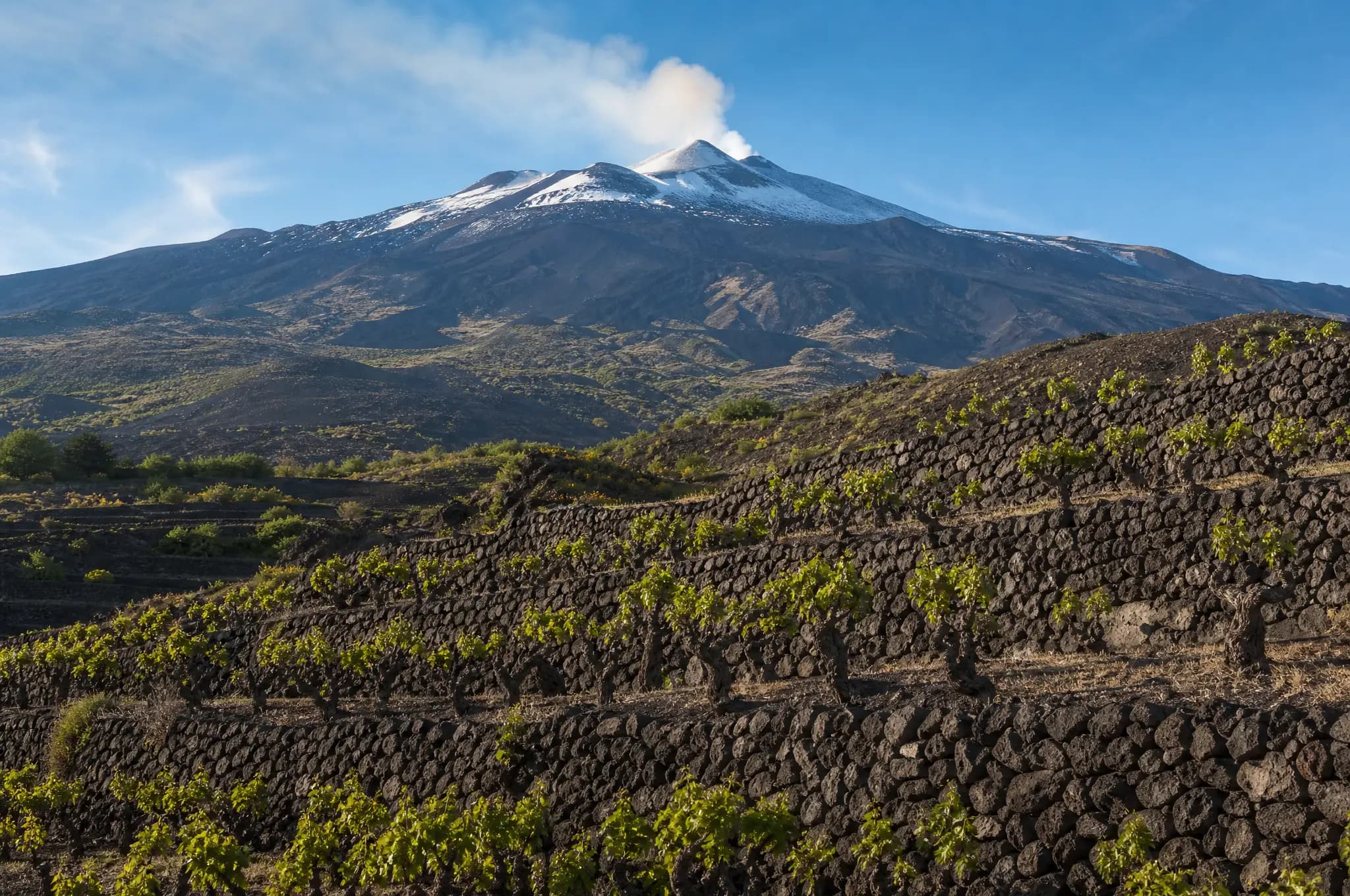 Etna Estate