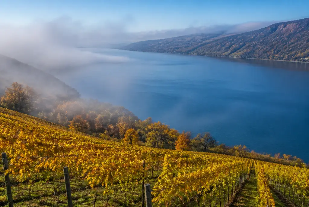 Lakeslope Cabernet Franc — Finger Lakes