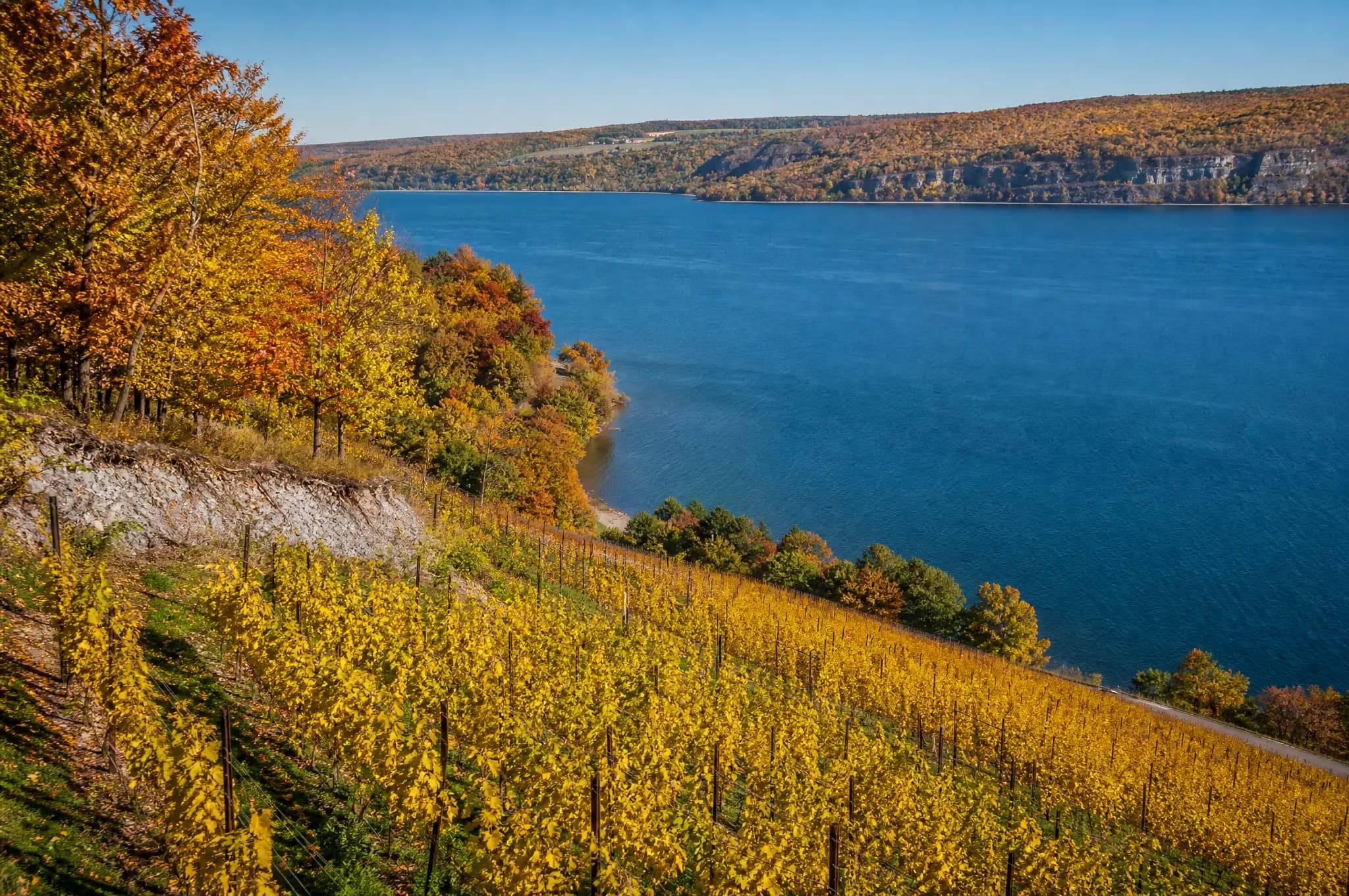 Dry Riesling — Finger Lakes