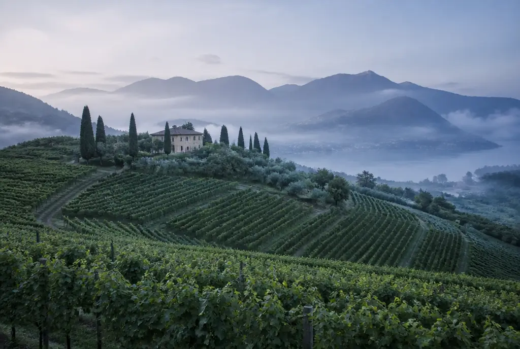 Franciacorta Satèn — Franciacorta