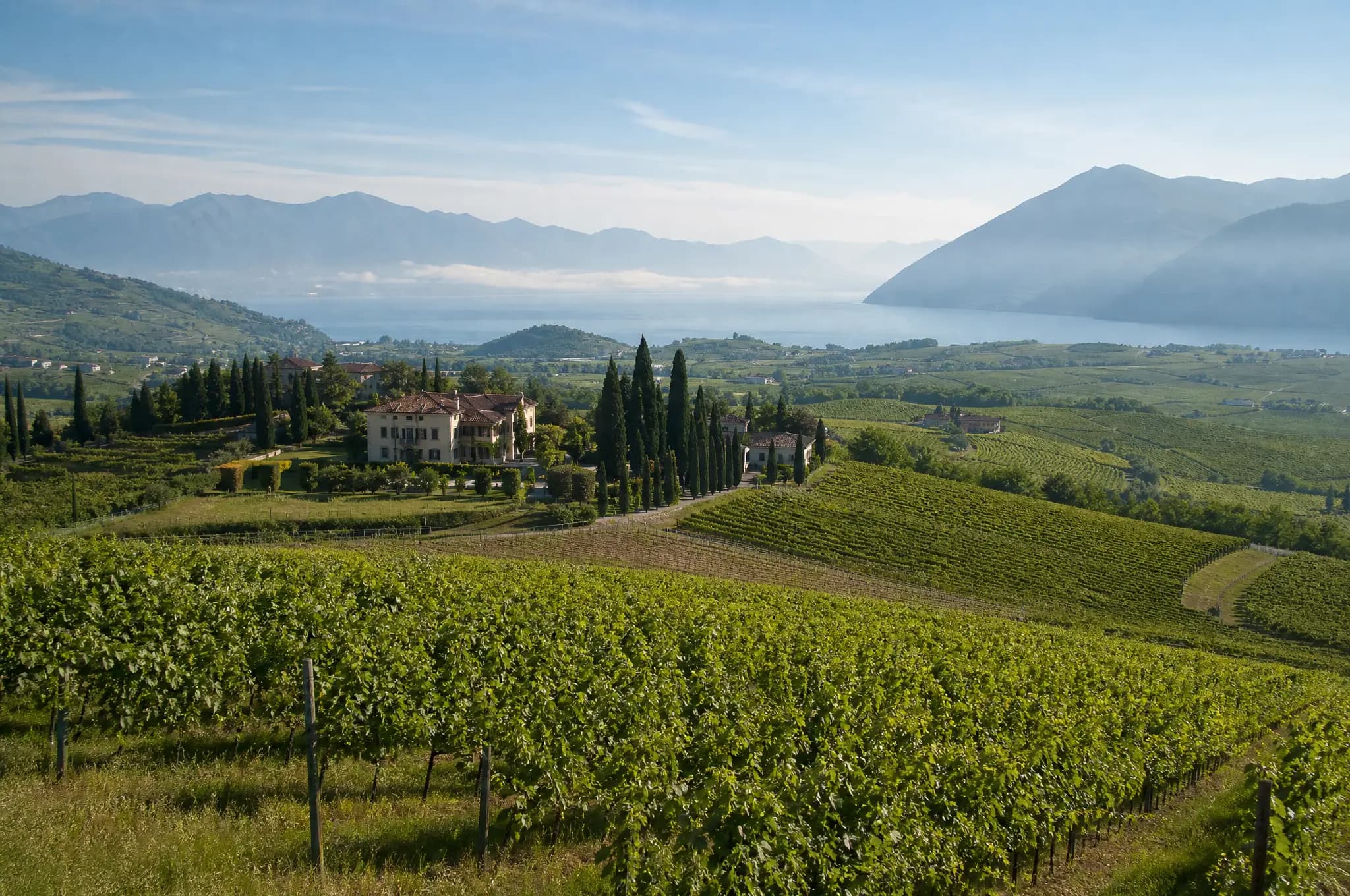 Franciacorta Estate