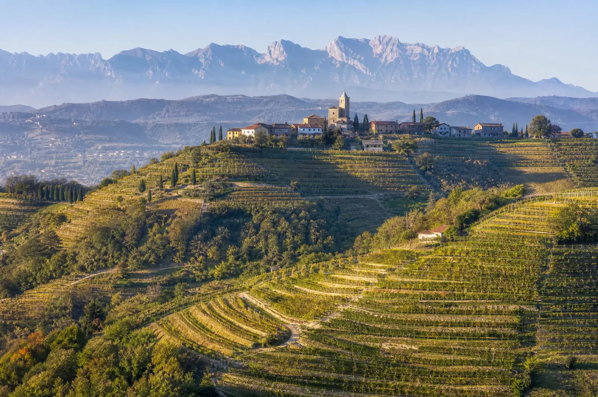 Collio Estate