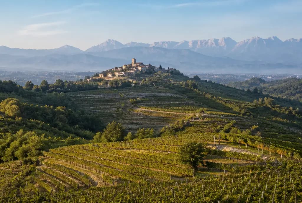 Collio Friulano β Collio