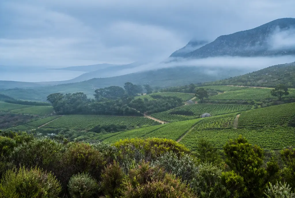 Walker Bay Chardonnay β Hemel-en-Aarde
