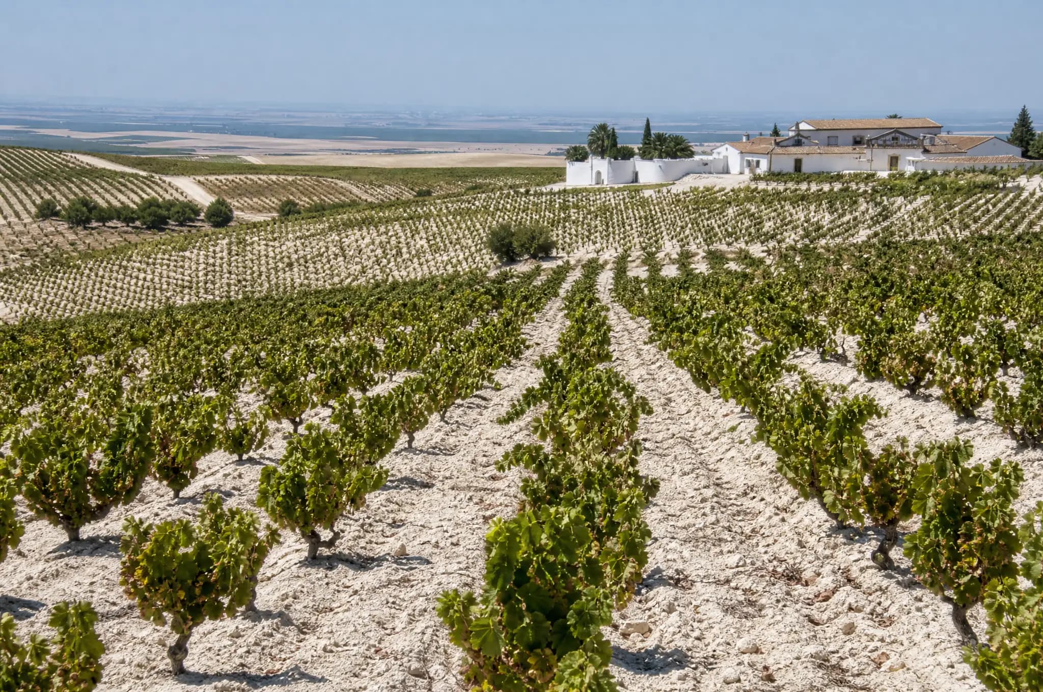 Jerez Estate