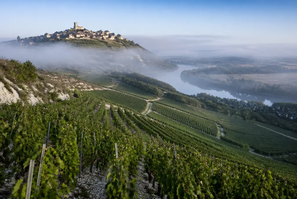 Silex Sauvignon Blanc β Sancerre