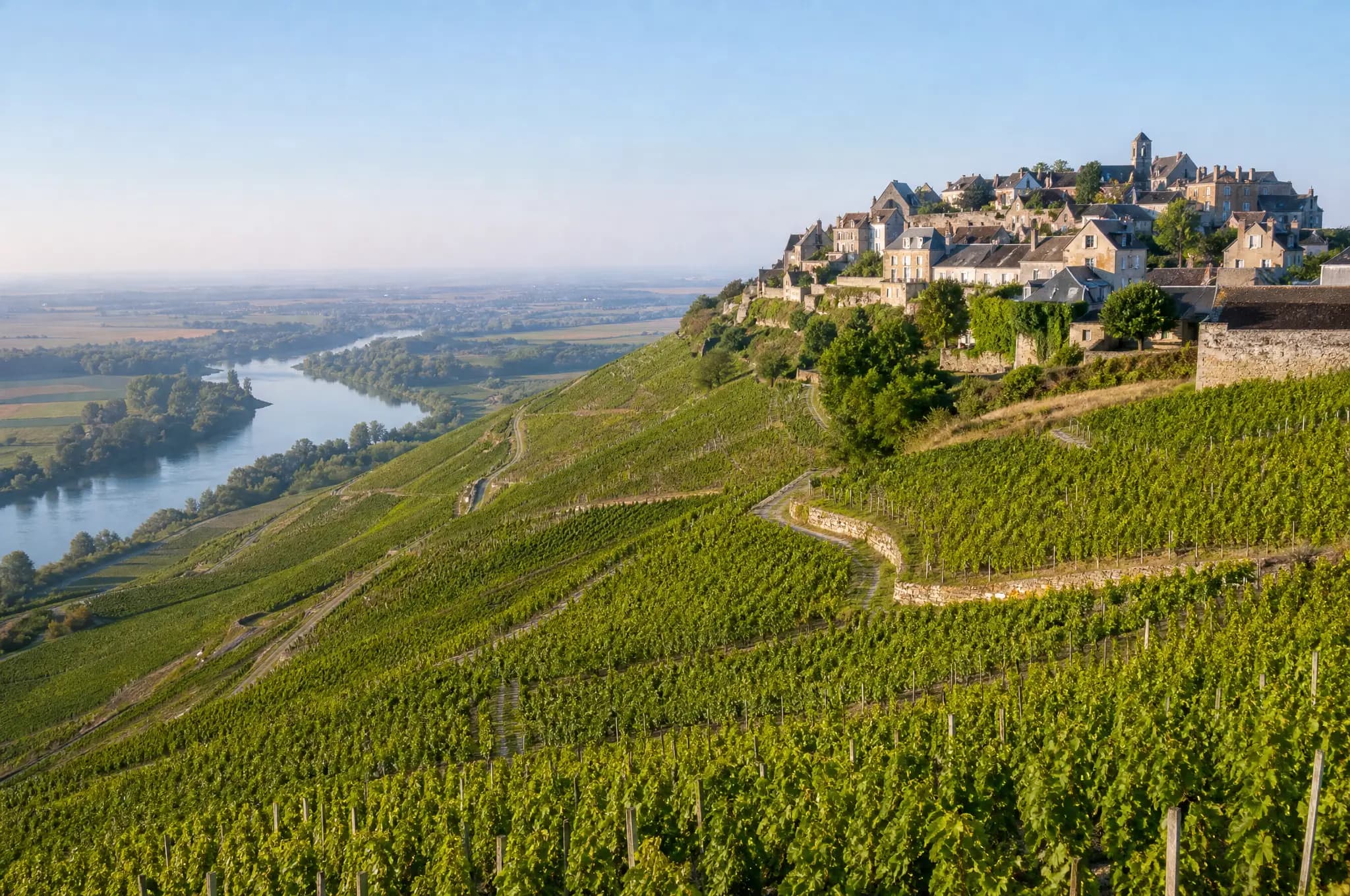 Sancerre Estate