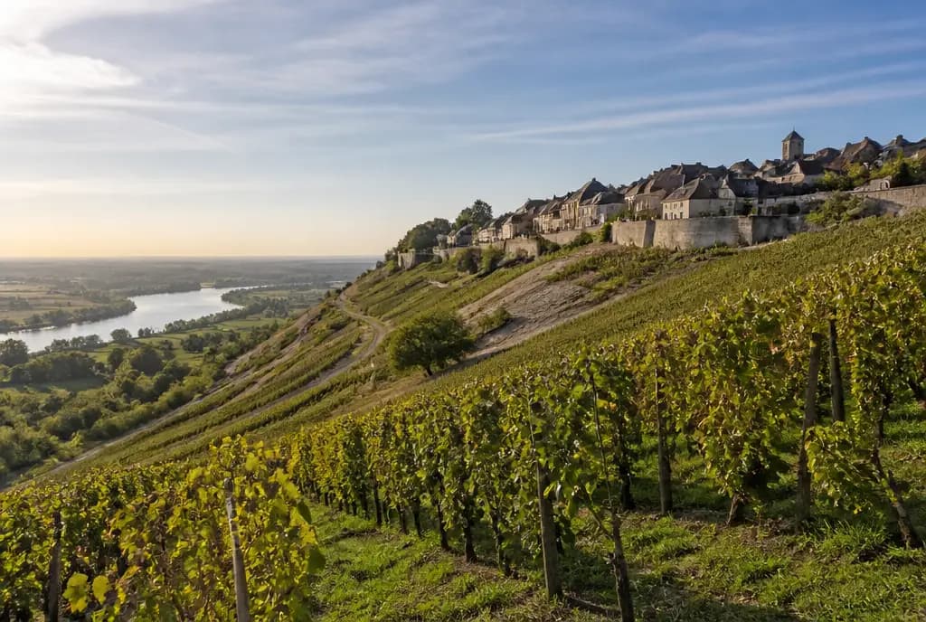 Sancerre Sauvignon Blanc β Sancerre