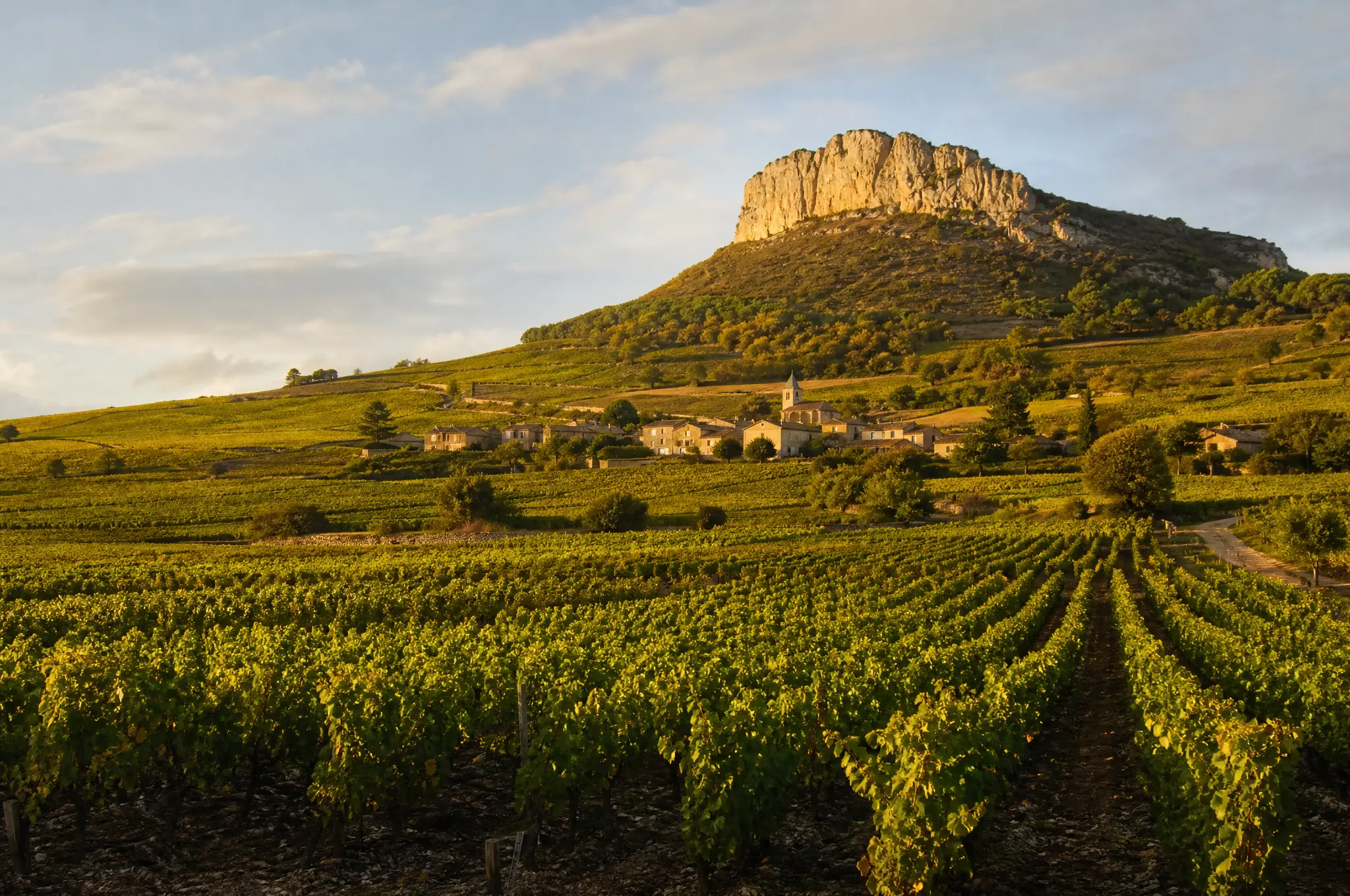 Pouilly-Fuissé Estate