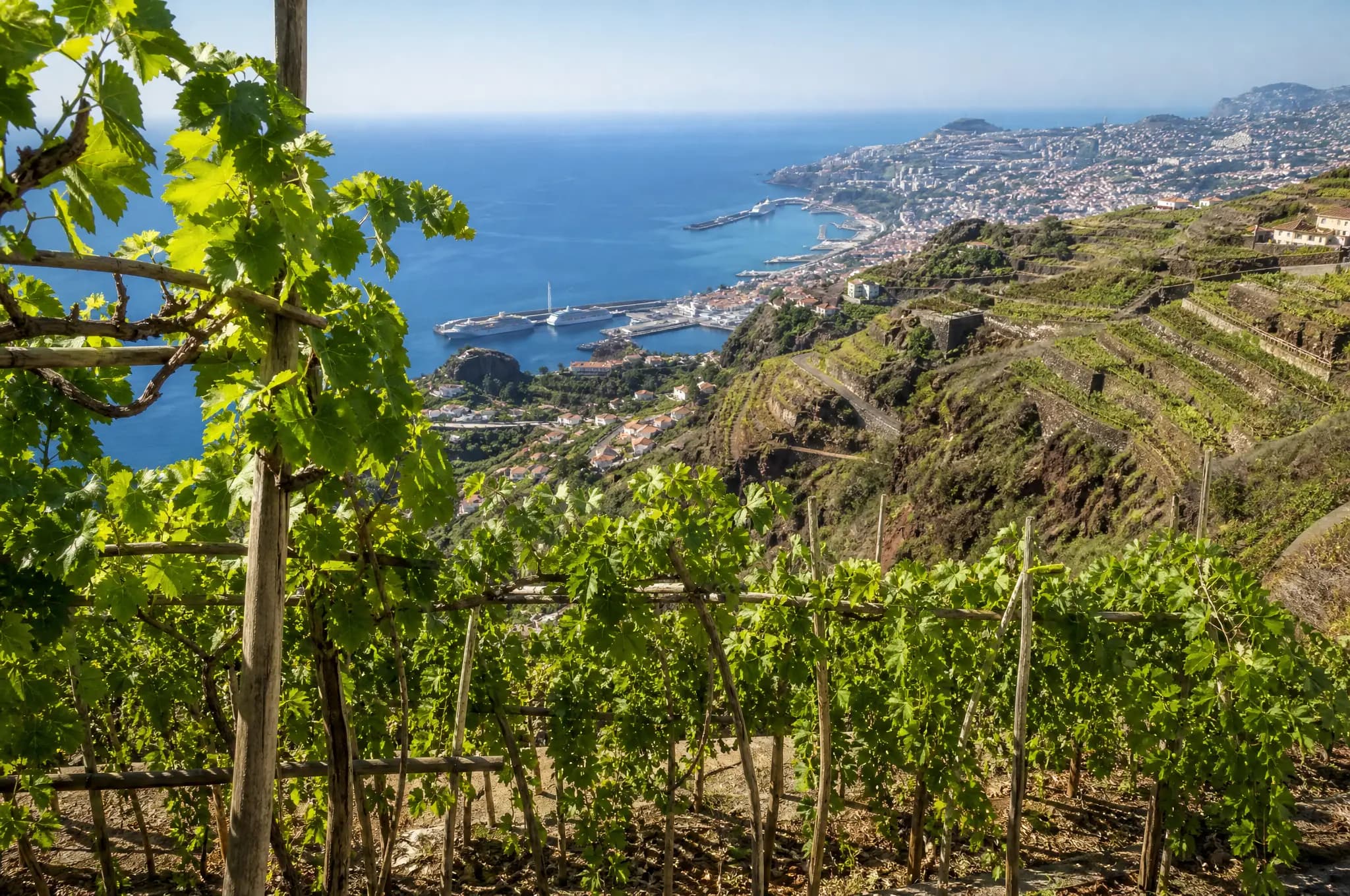 Madeira Estate