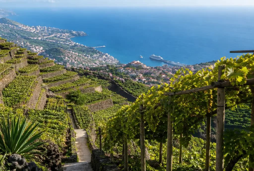 Sercial (Dry) β Madeira