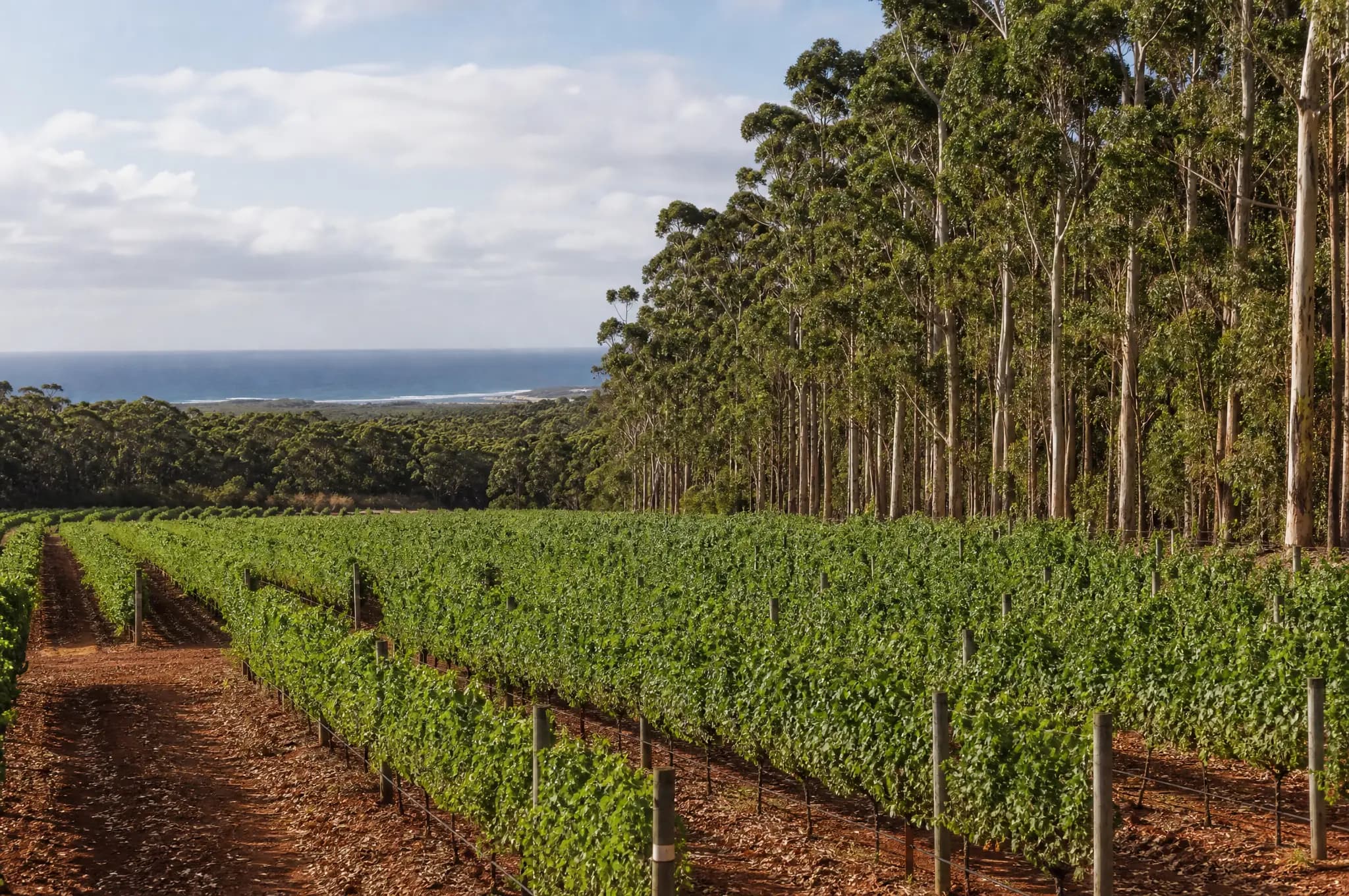 Margaret River Estate