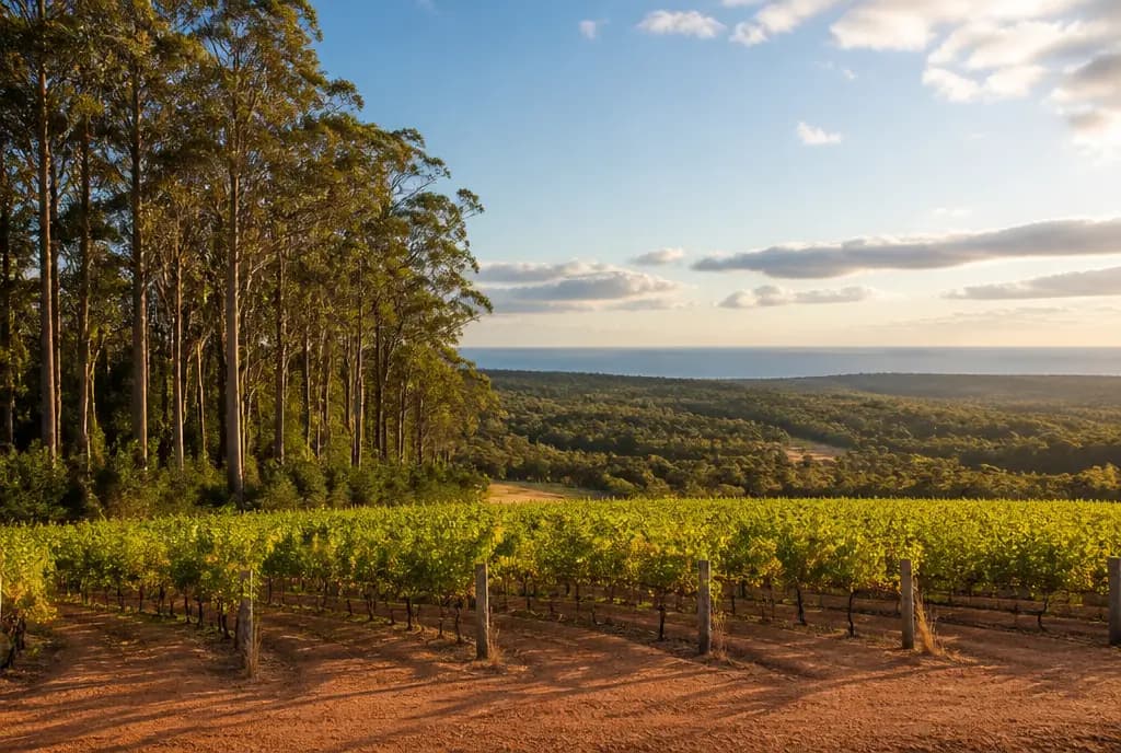 Margaret River Cabernet Sauvignon — Margaret River