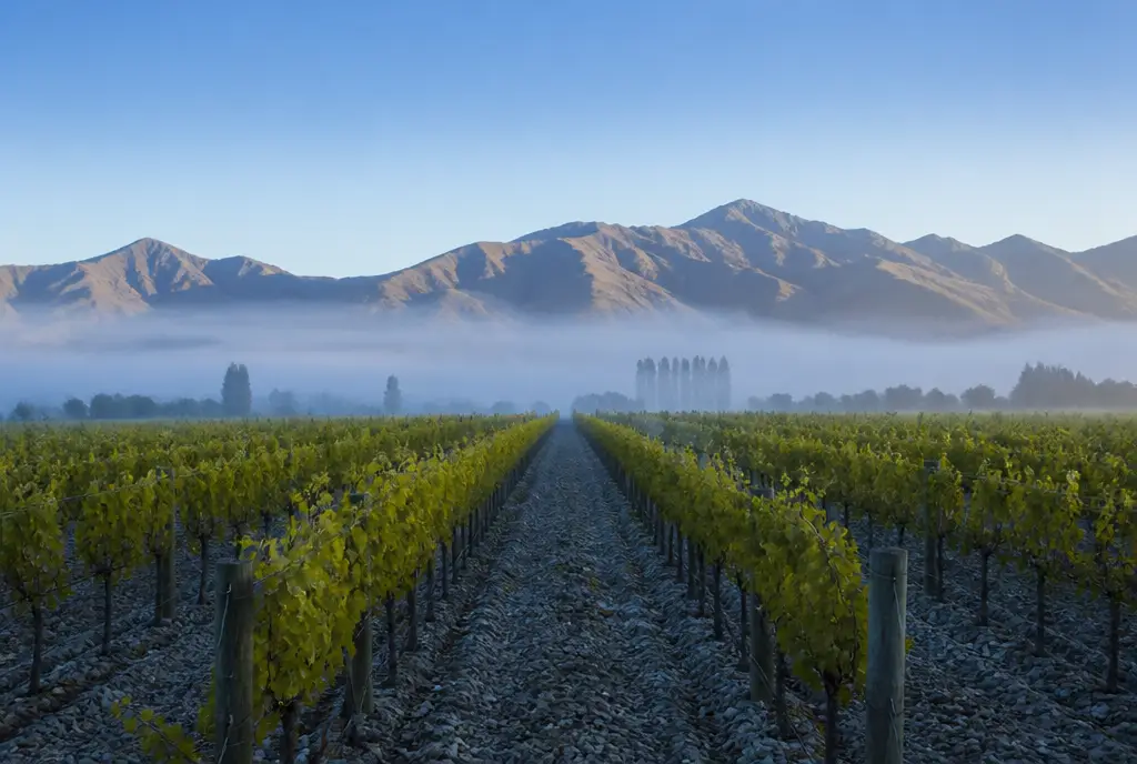 Wairau Chardonnay β Marlborough