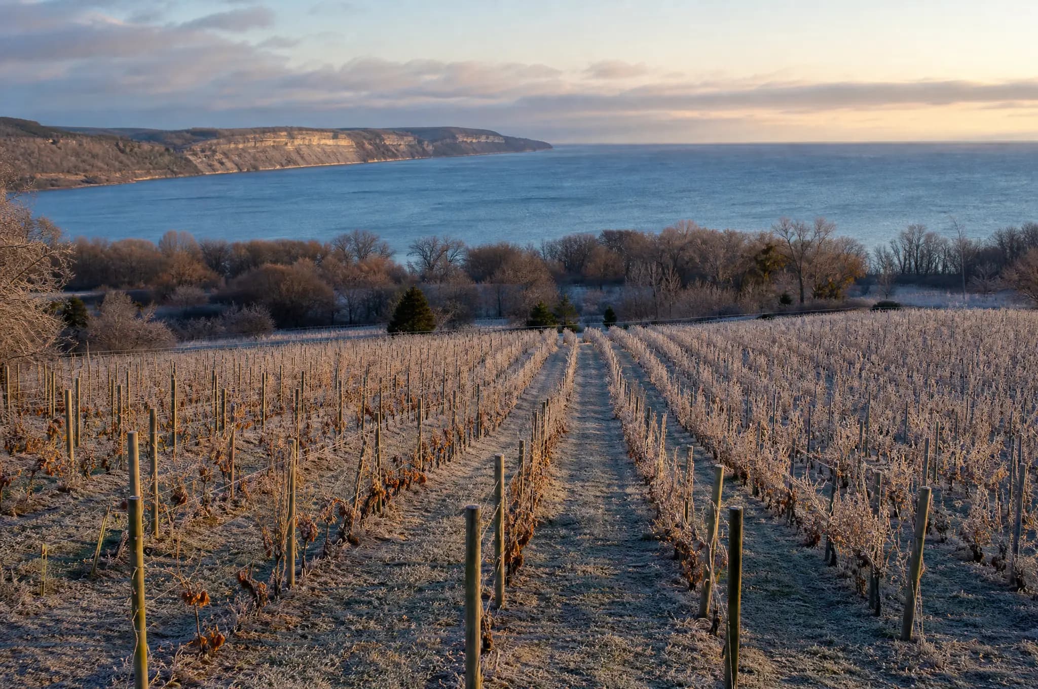 Niagara Peninsula Estate