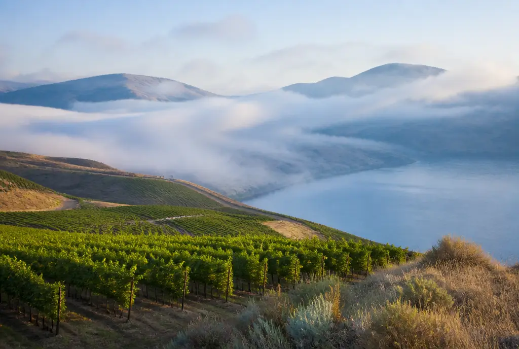 South Okanagan Pinot Noir β Okanagan Valley