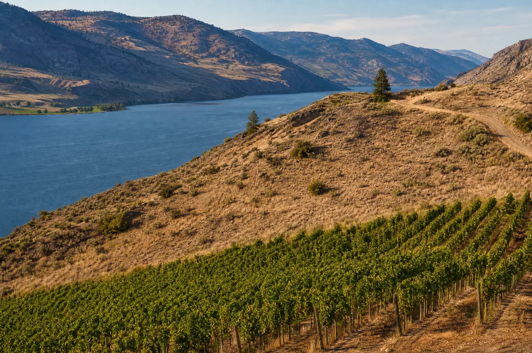 Okanagan Valley Estate