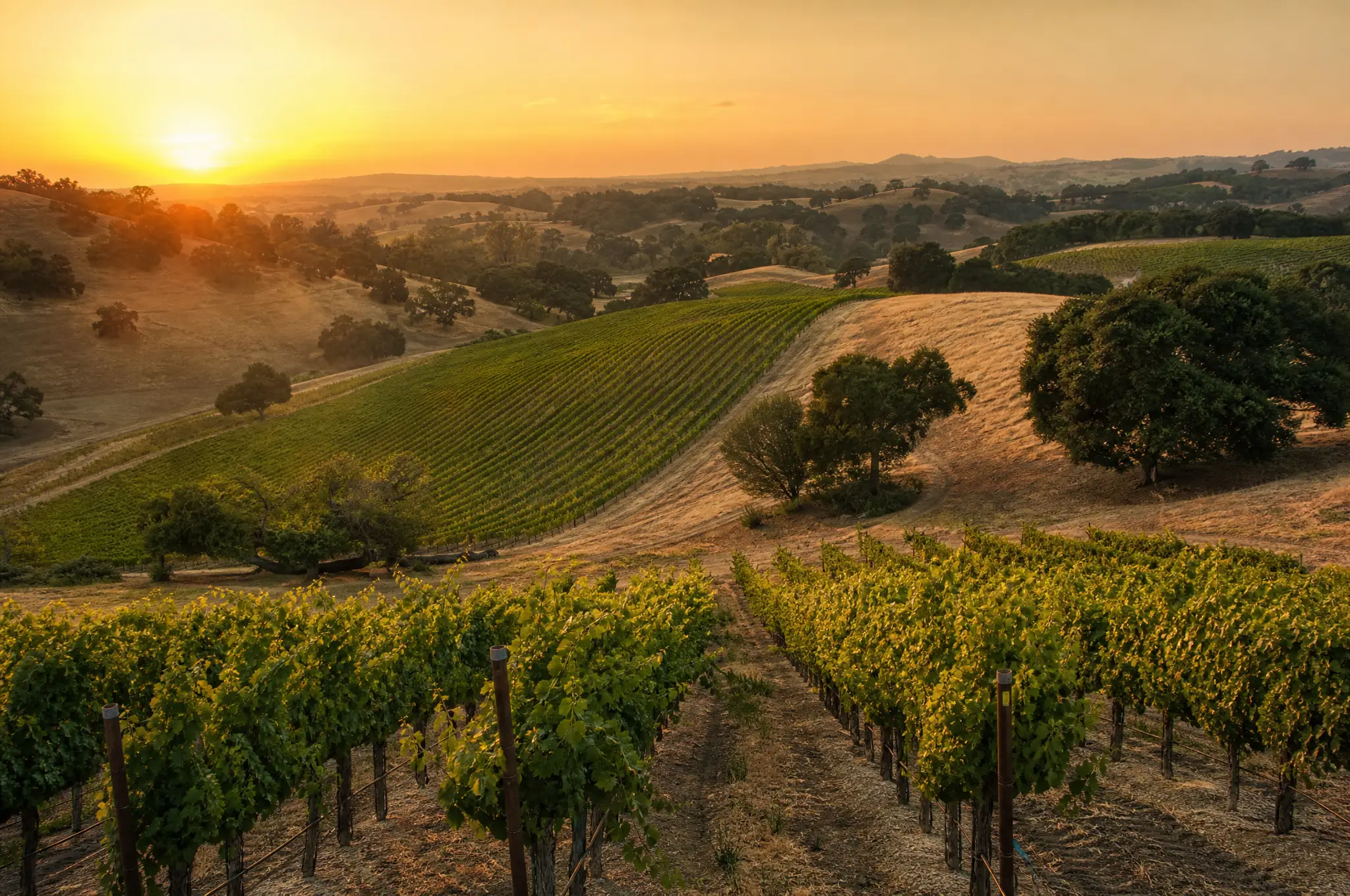 Paso GSM — Paso Robles
