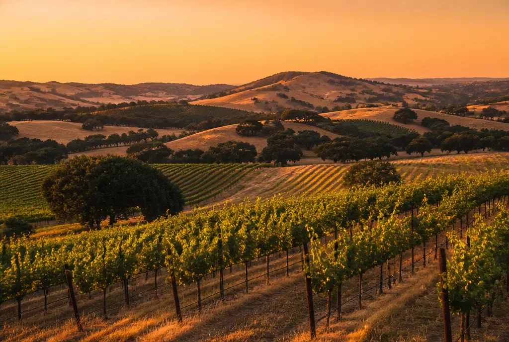 Paso GSM — Paso Robles