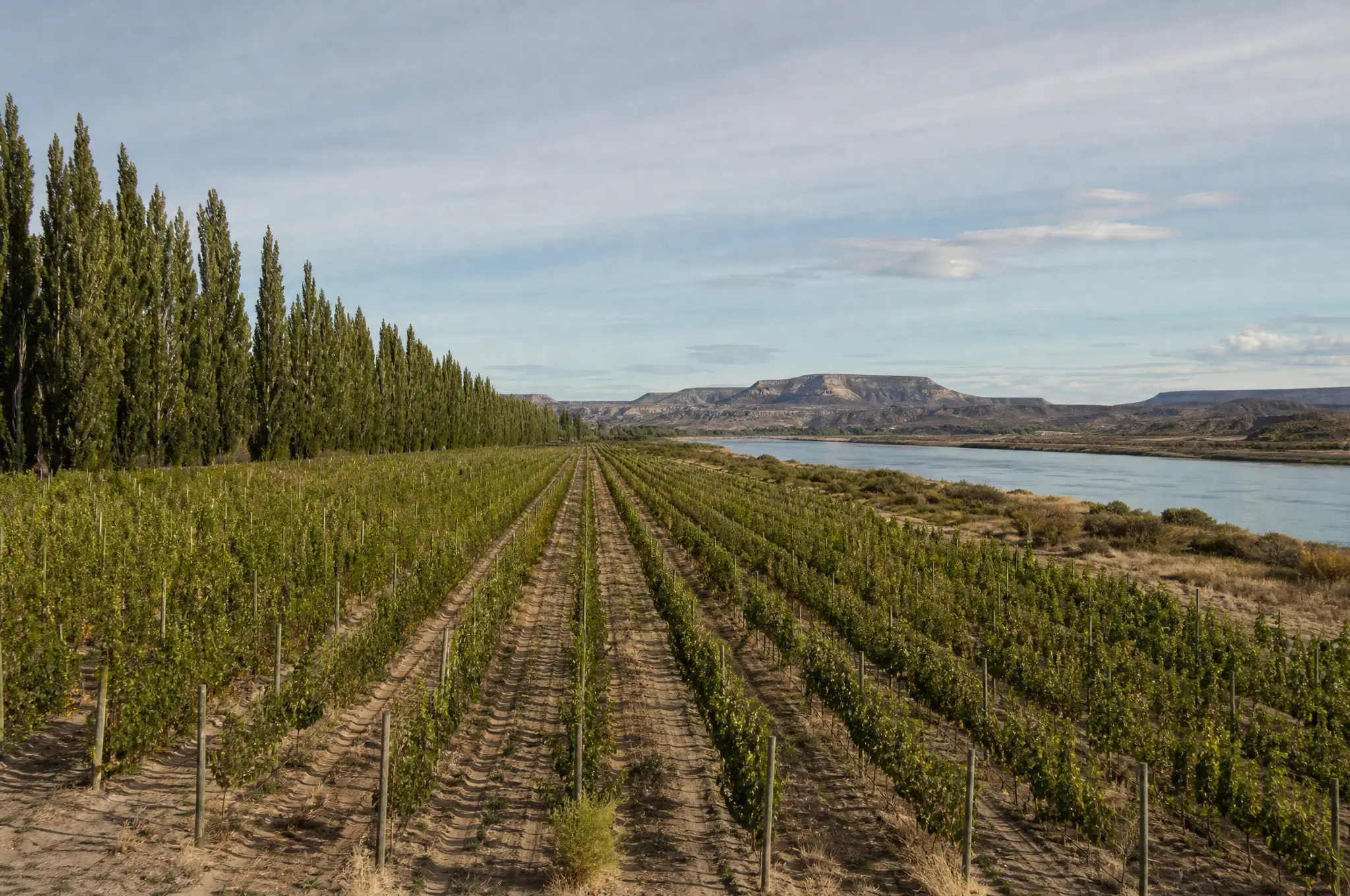 Río Negro Estate