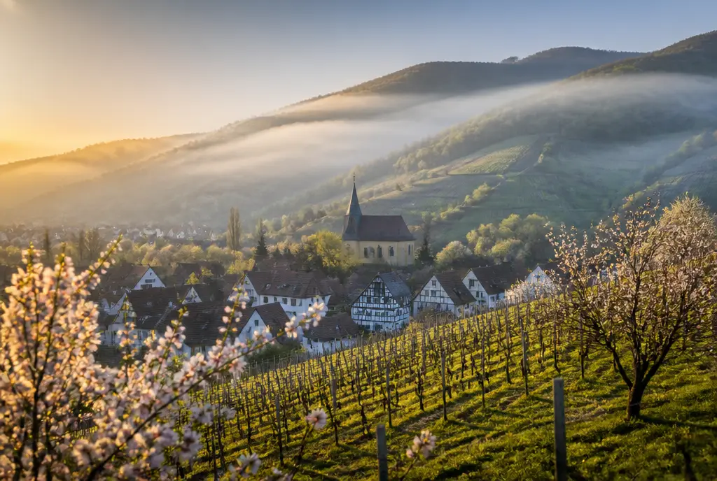 Estate Dry Riesling — Pfalz