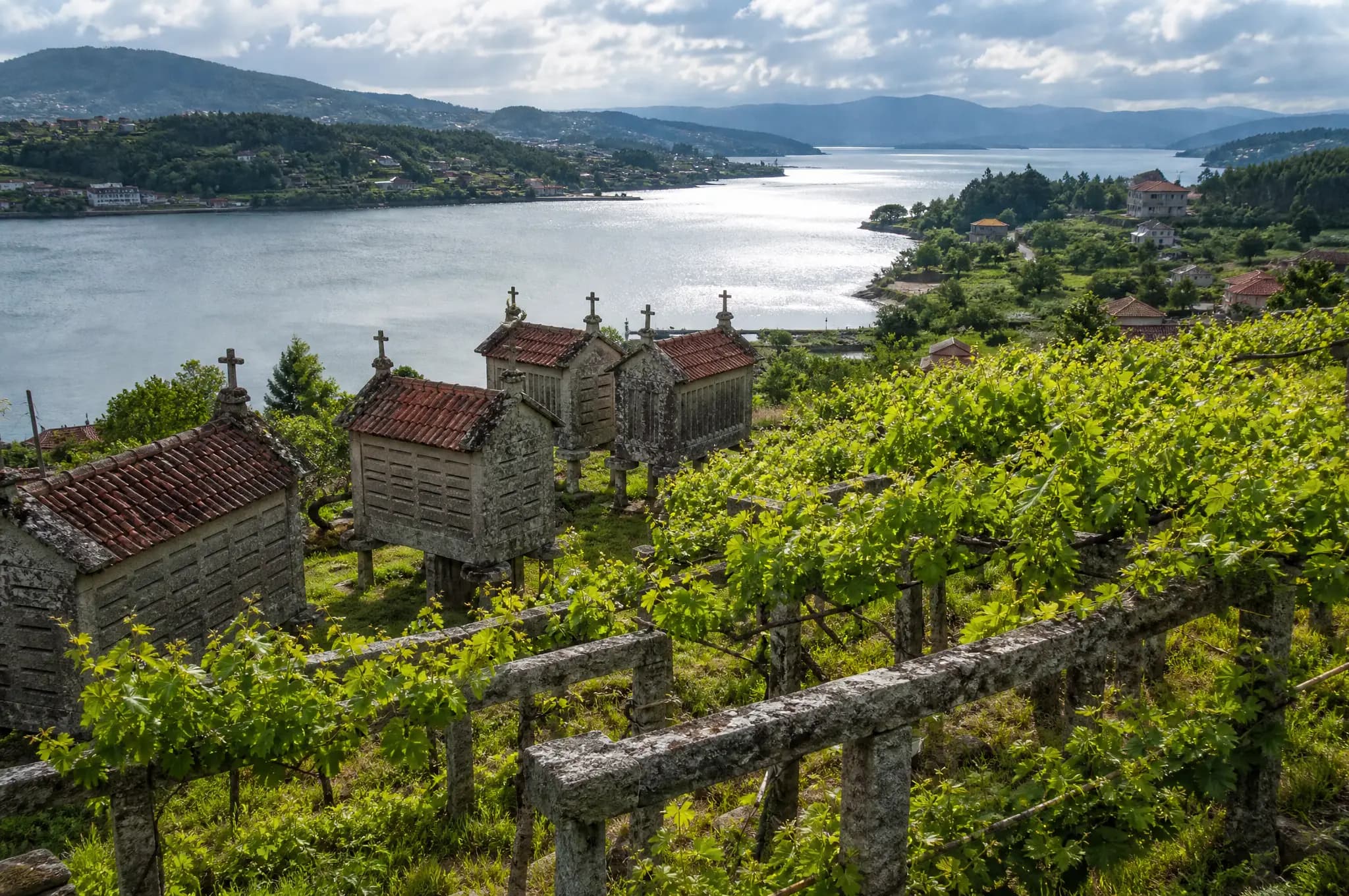 Rías Baixas Albariño — Rías Baixas