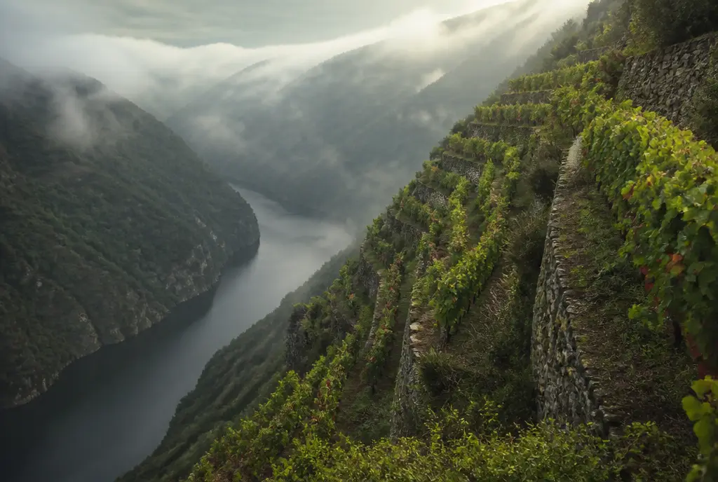 Ribeira Sacra Mencía — Ribeira Sacra