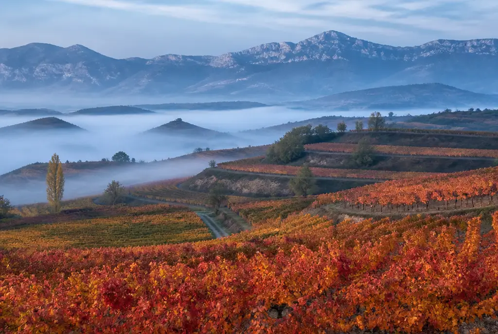 Rioja Gran Reserva — Rioja