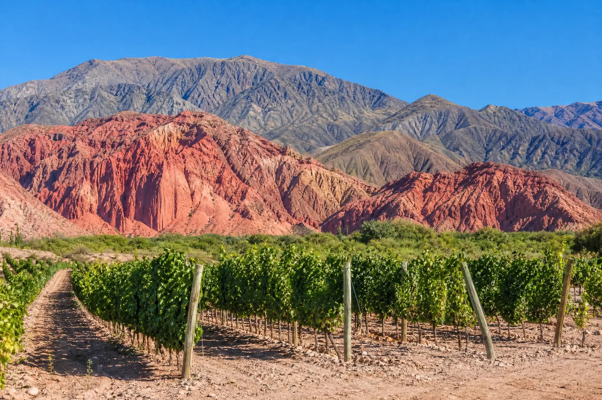 Cafayate Estate